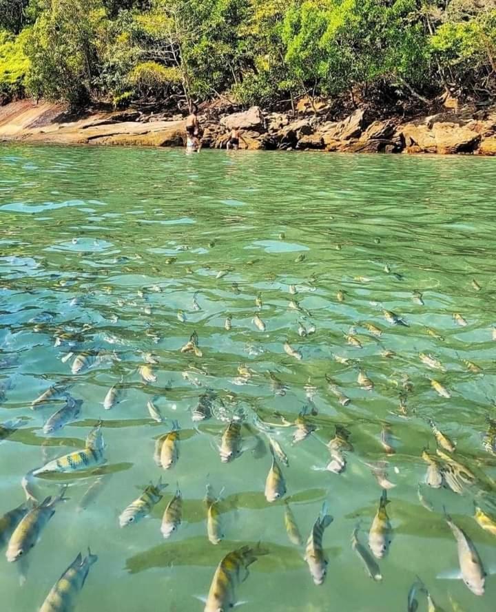 Praia Grande Ubatuba Casa Nova 5D Kültér fotó